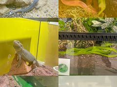 -宁波科学探索中心