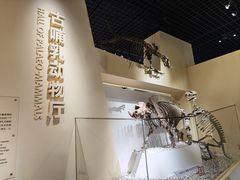 -国家自然博物馆