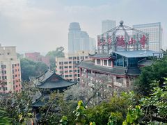 -鸿山公园
