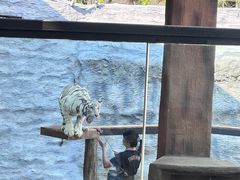 -清迈夜间动物园