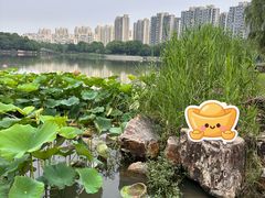 -南翔镇银翔湖公园