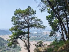 -铁山坪森林公园