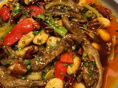 -巴渝菜舍曾氏麻辣风(霸州店)
