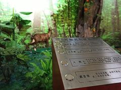 -遵义市博物馆