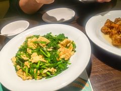-七菜馆·东北菜·蒸饺(文体路店)