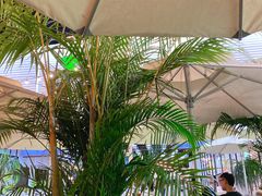 -813芭依珊 BAESAn(皇冠十畝地店)