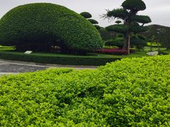-南宁南湖公园