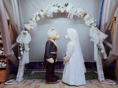 -济州岛泰迪熊博物馆