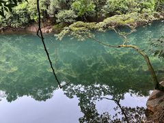 -鼎湖山风景区