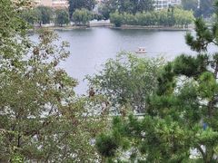 -莱西月湖公园