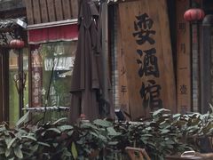 -泡桐树街