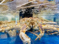 -盒马X会员店(上海森兰商都店)