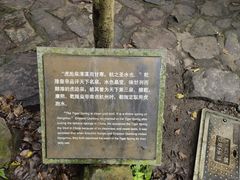 -虎跑公园
