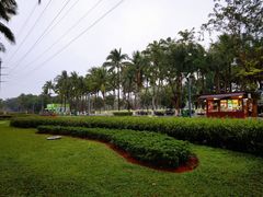 -万绿园