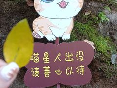 -终南山南五台景区