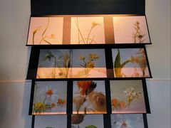 -喜茶(佛山顺德容桂天佑城店)