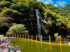 -少华山国家森林公园