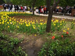 -长春公园(普阳街道)