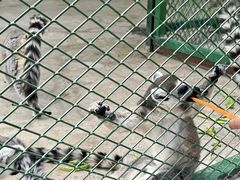 -水上乐园·欢乐世界