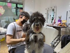 -Double Rui宠物酒店