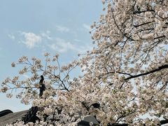-西山风景区