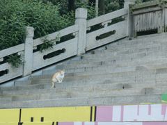 -孙武文化园-停车场
