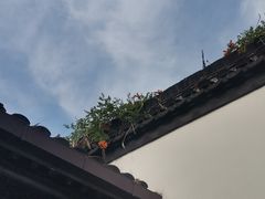 -南京市民俗博物馆(甘熙宅第)