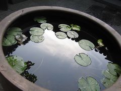 IMG_0509-法云安缦酒店
