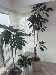 -HEYAN荷妍专业脱毛连锁机构