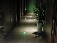 -在水伊方·影院式足道·保健·高端养生SPA(海椒市店)