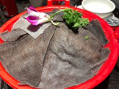 -红鼎坊·老成都火锅(新南门店)