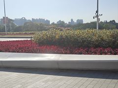 -海心沙亚运公园