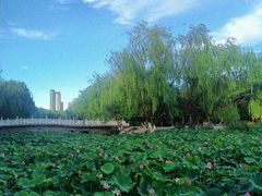 -满都海公园