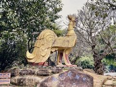 -云南勐巴娜西珍奇园