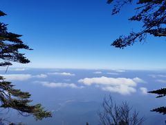 -瓦屋山景区