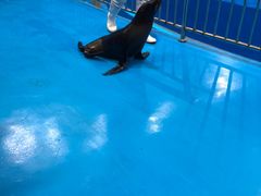 -多彩贵州城极地海洋世界