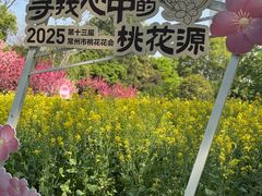 -圩墩遗址公园