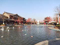 -凤凰天仙城
