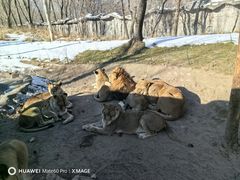-北京野生动物园