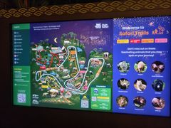 -夜间野生动物园