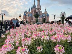 -上海迪士尼度假区