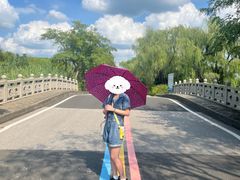 -同里国家湿地公园