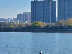 -咸阳湖景区-统一广场