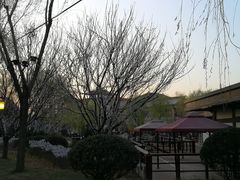 -唐城墙遗址公园