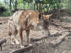 -天秀花园古月园