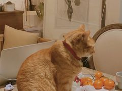 -凤凰御元艺术基地