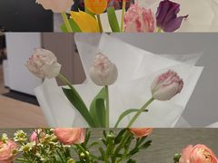 -野狸岛