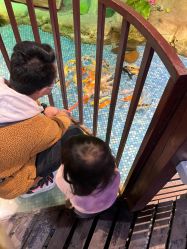 -酷嗒动物文化乐园(cutezoo西溪乐天城店)