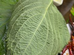 -西塔隆太白烤牛肉馆(图们路店)