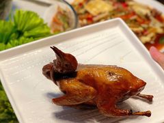 -琬苑鸽庄·川粤融合菜(解放碑总店)